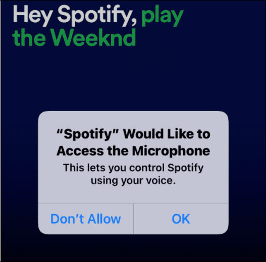 dare a Spotify l'accesso al microfono