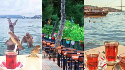 Giardini da tè per famiglie sul lato anatolico di Istanbul