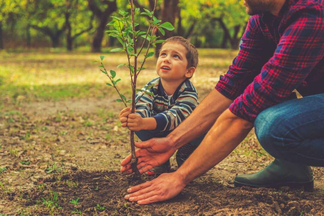 Come spiegare ai bambini l'importanza della natura