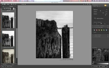 Nik Software Silver Efex Pro - Recensione del software fotografico - Wet Rocks