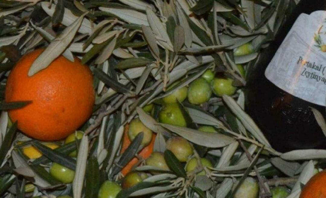 Le imprenditrici di Balıkesir producevano olio d'oliva all'arancia!