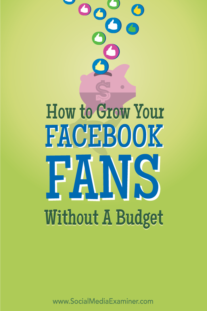 come far crescere i fan di Facebook senza budget