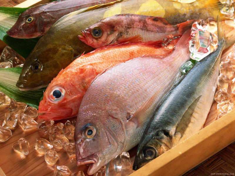 Suggerimenti per la scelta del pesce fresco dalla giuria Masterchef Mehmet Chef