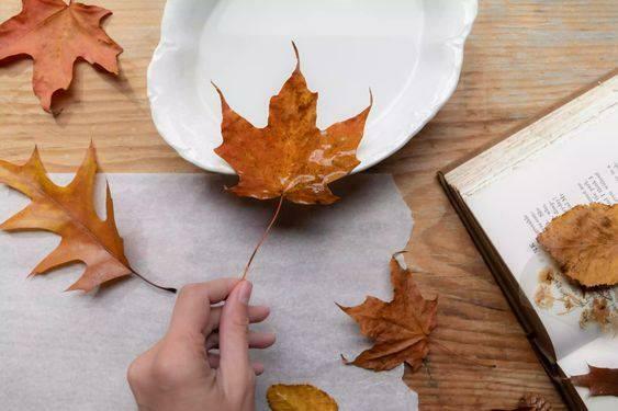 Realizzare ciotole decorative con le foglie