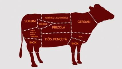 Quali sono le parti di manzo? Quale carne viene tagliata da quale regione?