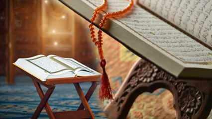 Le virtù di Surah Al-Baqara, il capitolo più lungo del Corano! Per cosa si legge la Surah al-Baqara?