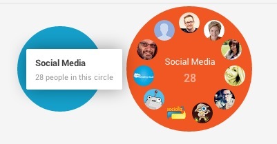 esempio google + circle