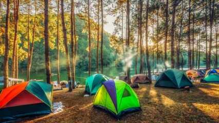 I migliori percorsi di campeggio per l'autunno! Le aree di campeggio più belle dove puoi gettare una tenda in autunno