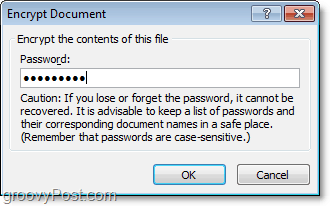 creare una password per il documento di Office 2010
