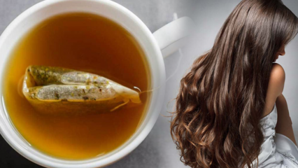 Quali sono i benefici del tè verde per i capelli? Ricetta maschera per la pelle al tè verde