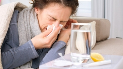 Quali sono gli alimenti che fanno bene al raffreddore e all'influenza? 5 alimenti che prevengono l'influenza ...