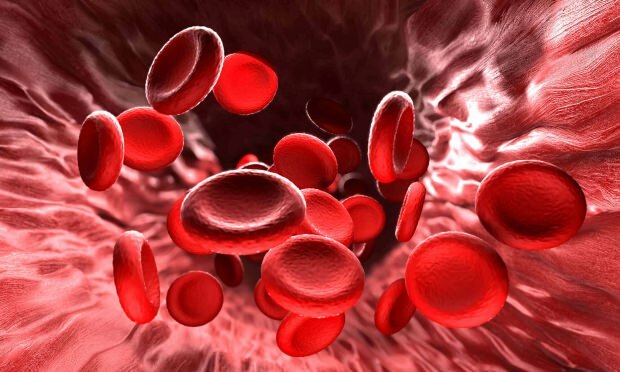 provoca anemia