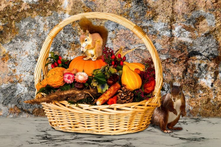 5 oggetti che aggiungeranno bellezza alla tua casa in autunno!