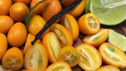 Prevenire il cancro ai polmoni: quali sono i vantaggi del kumquat? Come si consuma il Kumquat?