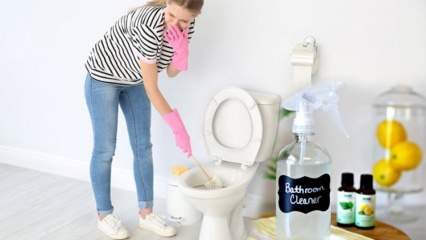 Come fare lo spray per WC a casa? Suggerimenti per creare un detergente naturale per WC