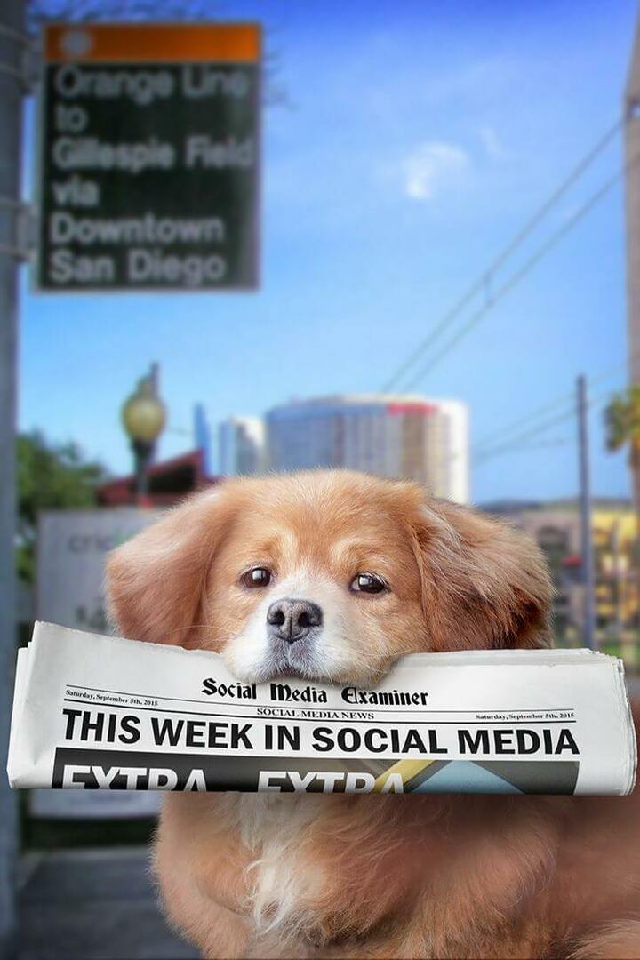 Periscope trasmette in modo nativo su Twitter: questa settimana sui social media: Social Media Examiner