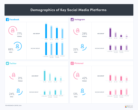 dati demografici sui social media