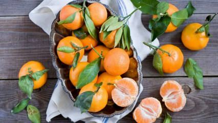 Quali sono i vantaggi del mandarino? Cosa succede se mangi i mandarini per una settimana?