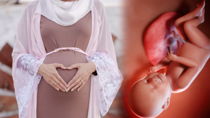 Preghiere e dhikr di Esmaül Hüsna da leggere affinché il bambino sia sano durante la gravidanza