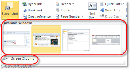lo strumento screenshot ha due opzioni in Office 2010