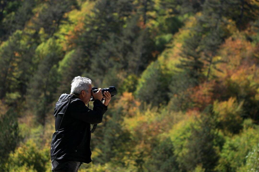 Montagna Ilgaz: tutti i colori dell'autunno sono qui