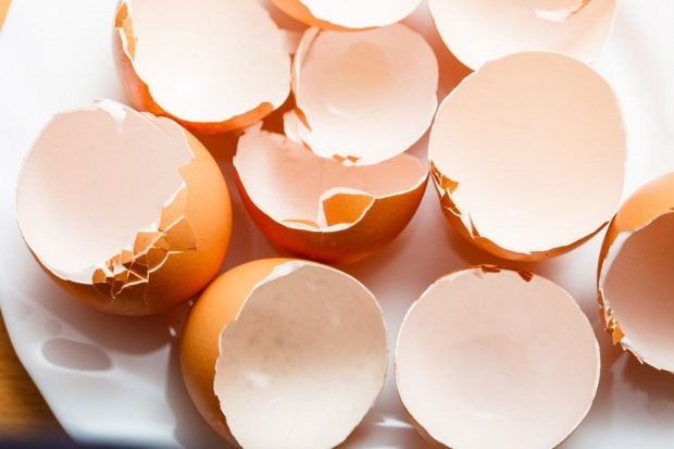 trattamento della carie con guscio d'uovo