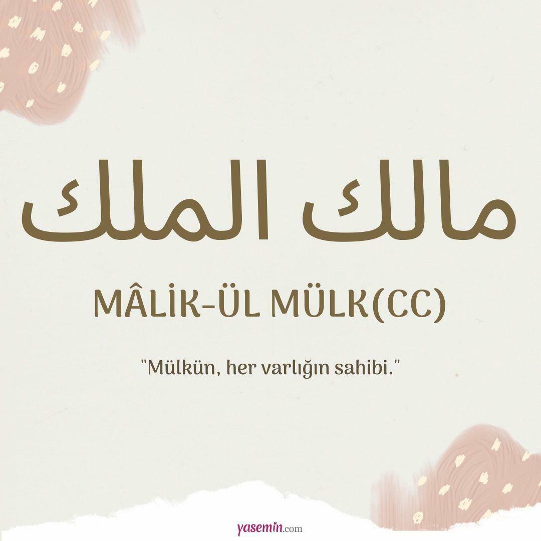 Cosa significa Malik-ul Mulk (c.c)?