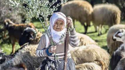 La zia Fatma è pastore ai piedi dei Monti Amanos da mezzo secolo!