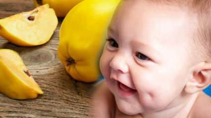La cotogna è fossetta? Mangiare mele cotogne durante la gravidanza abbellisce il bambino?