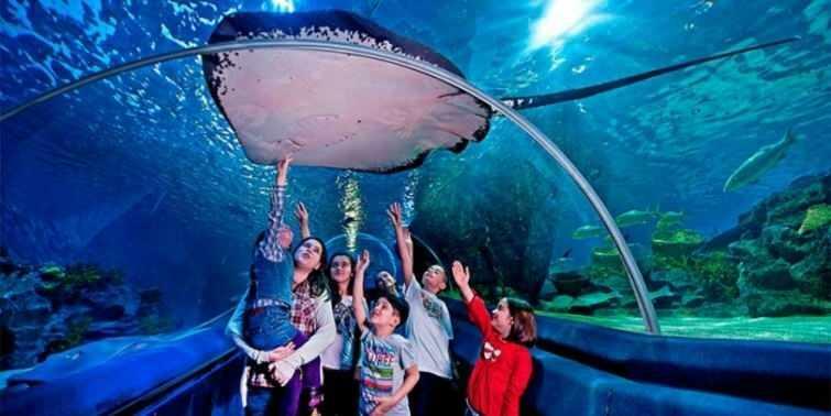  Scene dall'Acquario Sea Life di Istanbul