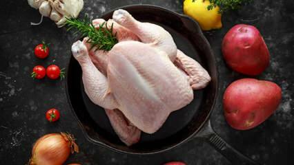 Come sapere se il pollo è rovinato? Quali sono i segni che il pollo si sta deteriorando?