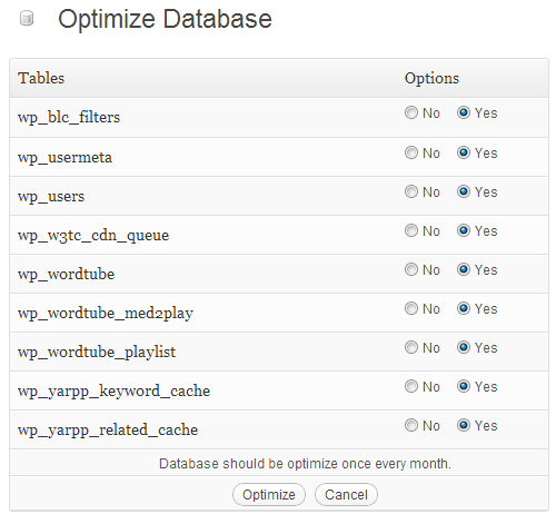 ottimizzare il database wordpress