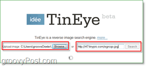 Screenshot di TinEye: ricerca dell'immagine per duplicati e versioni più grandi