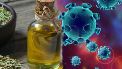 L'olio di timo fa bene al coronavirus? Quali sono i benefici dell'origano e del tè al timo?