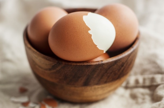 Analisi organiche delle uova