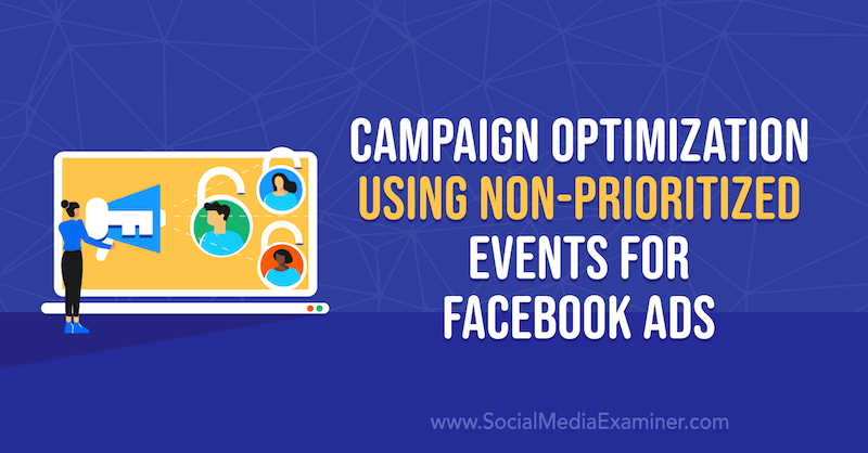 Ottimizzazione della campagna utilizzando eventi senza priorità per gli annunci di Facebook di Anna Sonnenberg su Social Media Examiner.