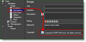 MetaData Auto Copyright del fotografo Microsoft Pro Photo Tools:: groovyPost.com