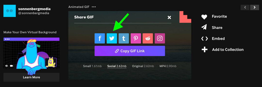 Come creare e utilizzare GIF nel tuo marketing su Twitter: Social Media Examiner