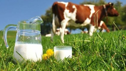 Cos'è l'allergia al latte? Quando passa l'allergia al latte nei neonati? Allergia al latte vaccino ...