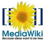 Plugin MediaWiki per Microsoft Word 2010 e 2007