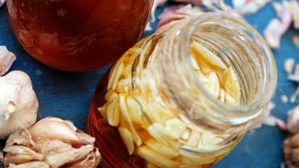 I benefici del miele e dell'aglio! Cosa succede se mangi un cucchiaio di miele e aglio ogni giorno?