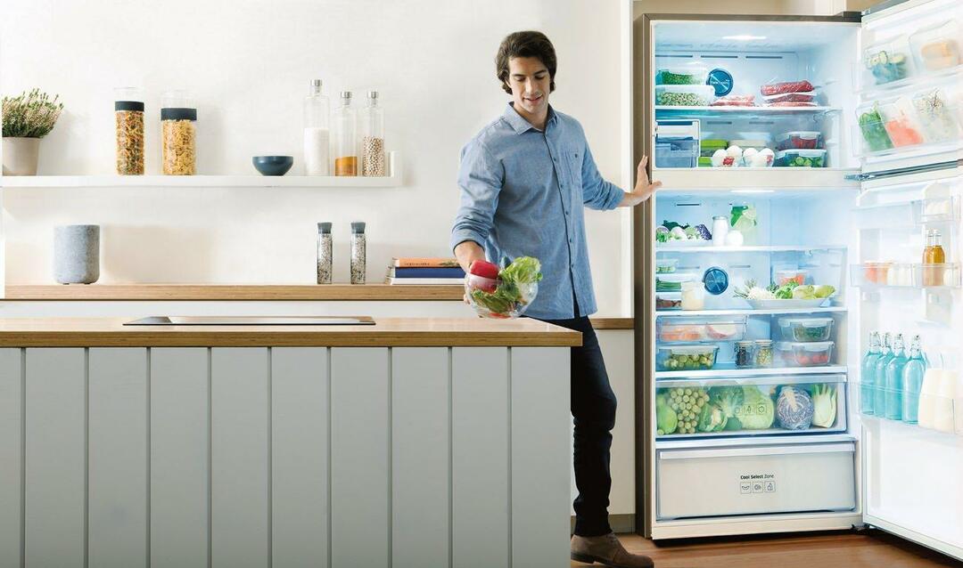 Curiosità sul frigorifero No Frost