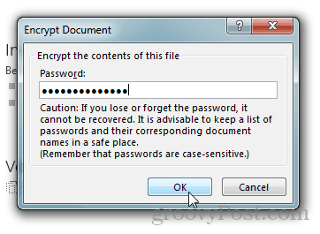 Protezione con password e crittografia dei documenti di Office 2013: digitare una password