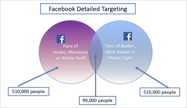 Grafico di esempio di targeting dettagliato di Facebook