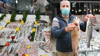 Come sapere se un pesce è falso? Trucchi per far sembrare il pesce pesante e luminoso