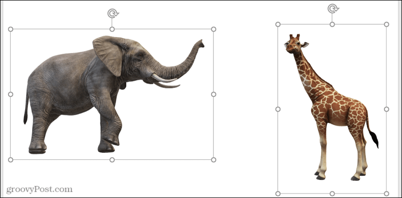 Modelli 3D inseriti in Microsoft Word