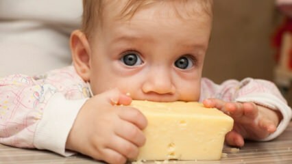 Selezione di formaggi per neonati
