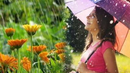 La pioggia di aprile sta guarendo? Quali sono le preghiere da leggere nell'acqua piovana? I benefici della pioggia di aprile