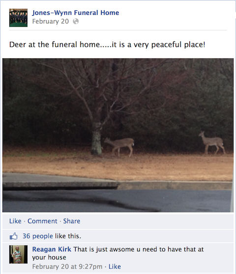 jones-wynn funeral home aggiornamento facebook