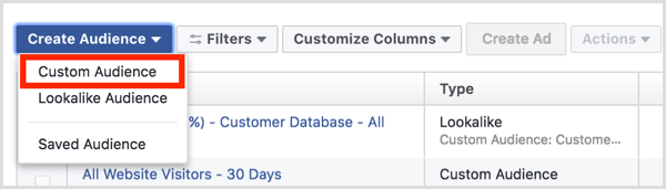 La dashboard del pubblico di Facebook Ads Manager crea un pubblico personalizzato